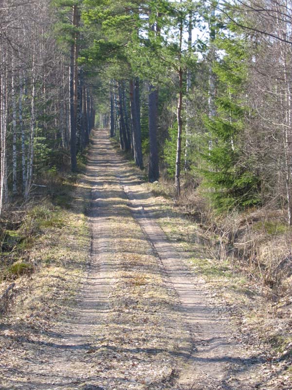 Allén