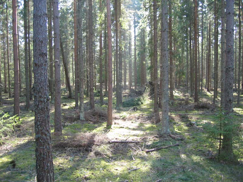 Slutet på åsen